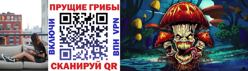 Купить где  Новодвинск  Галлюциногенные грибы Magic Shrooms 