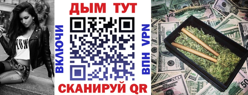 Купить где  Новодвинск  Канабис сатива 